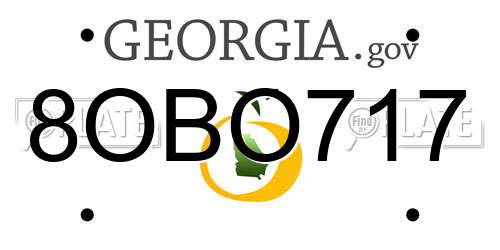 8OBO717 Georgia License Plate