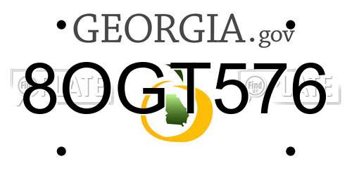 8OGT576 Georgia License Plate
