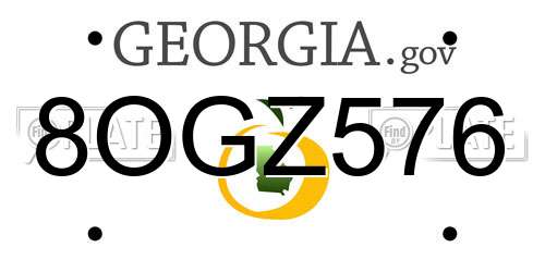 8OGZ576 Georgia License Plate