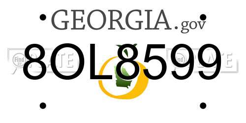 8OL8599 Georgia License Plate