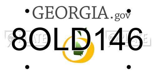 8OLD146 Georgia License Plate