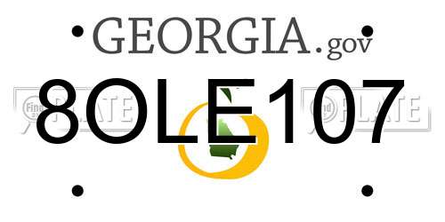 8OLE107 Georgia License Plate