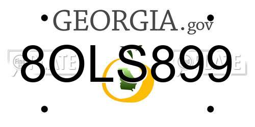 8OLS899 Georgia License Plate