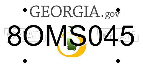 8OMS045 Georgia License Plate