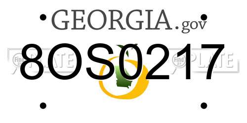 8OS0217 Georgia License Plate