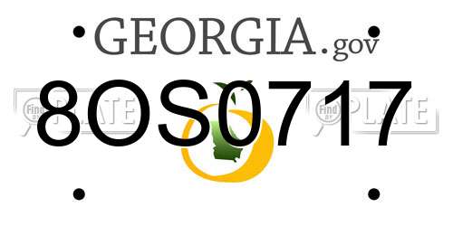 8OS0717 Georgia License Plate