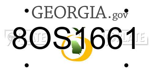 8OS1661 Georgia License Plate