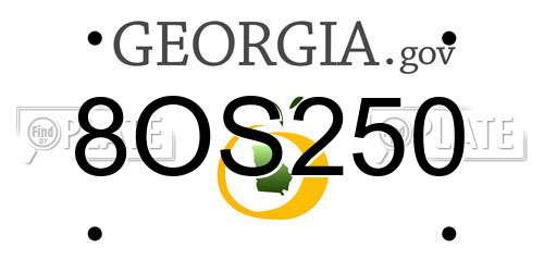 8OS250 Georgia License Plate
