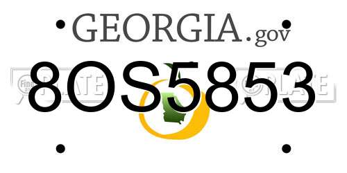 8OS5853 Georgia License Plate