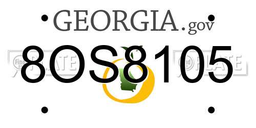 8OS8105 Georgia License Plate