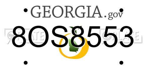8OS8553 Georgia License Plate