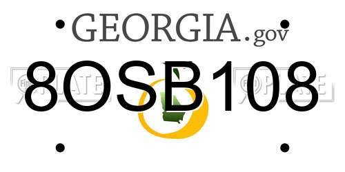 8OSB108 Georgia License Plate