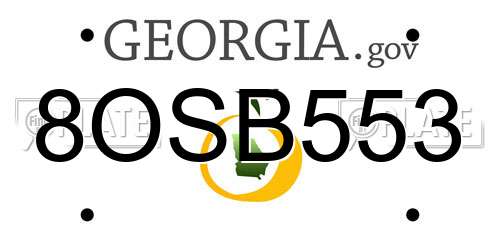 8OSB553 Georgia License Plate