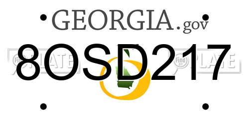 8OSD217 Georgia License Plate