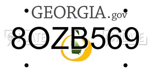 8OZB569 Georgia License Plate