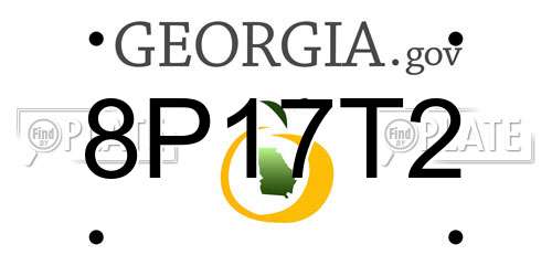 8P17T2 Georgia License Plate