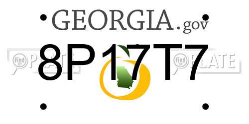 8P17T7 Georgia License Plate