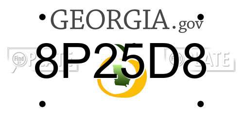 8P25D8 Georgia License Plate