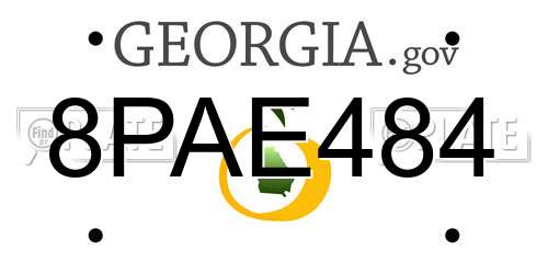 8PAE484 Georgia License Plate