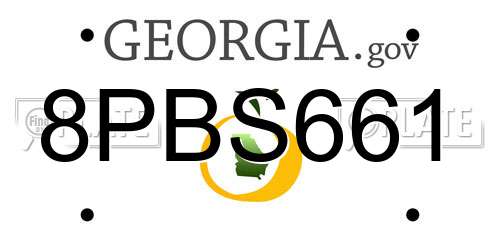 8PBS661 Georgia License Plate
