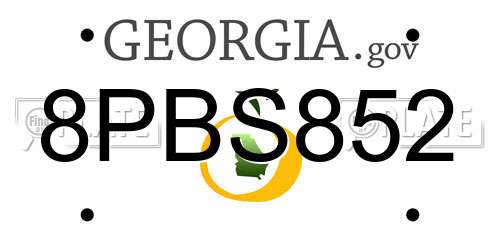 8PBS852 Georgia License Plate