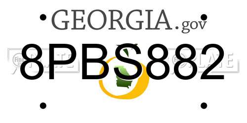 8PBS882 Georgia License Plate