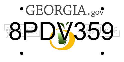 8PDV359 Georgia License Plate