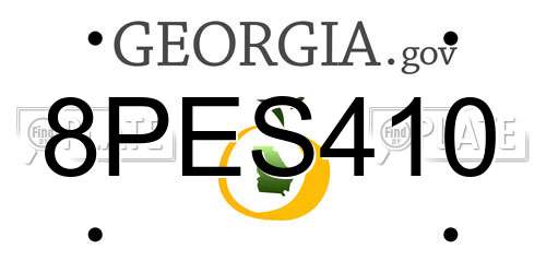 8PES410 Georgia License Plate