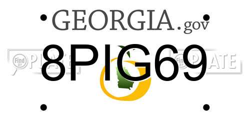 8PIG69 Georgia License Plate