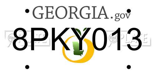 8PKY013 Georgia License Plate