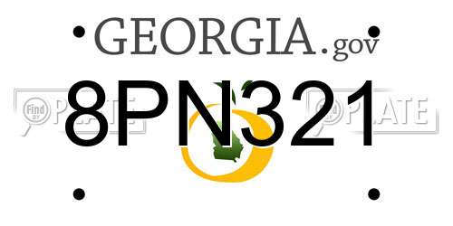 8PN321 Georgia License Plate