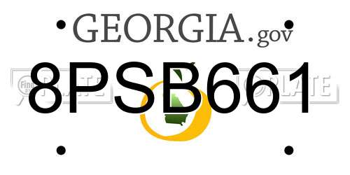 8PSB661 Georgia License Plate