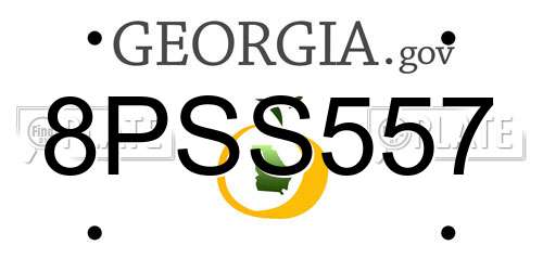 8PSS557 Georgia License Plate