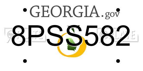 8PSS582 Georgia License Plate