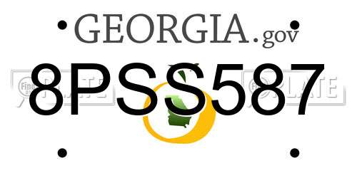 8PSS587 Georgia License Plate