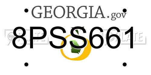 8PSS661 Georgia License Plate