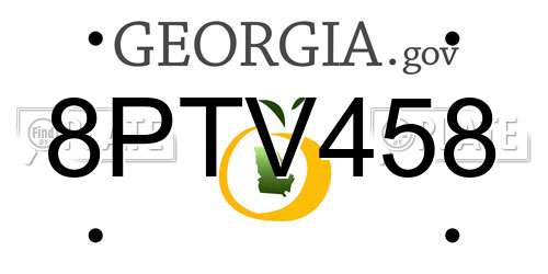 8PTV458 Georgia License Plate