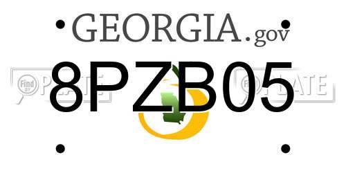 8PZB05 Georgia License Plate