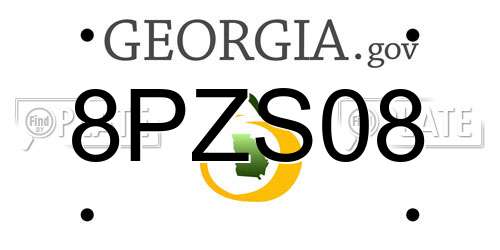 8PZS08 Georgia License Plate