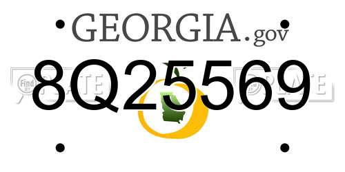 8Q25569 Georgia License Plate