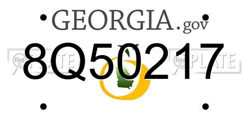 8Q50217 Georgia License Plate