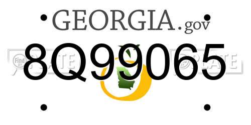 8Q99065 Georgia License Plate