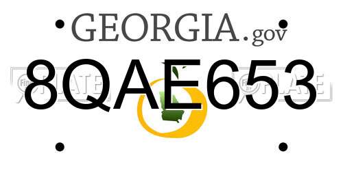 8QAE653 Georgia License Plate