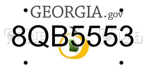 8QB5553 Georgia License Plate