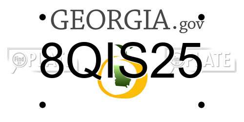8QIS25 Georgia License Plate