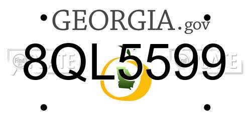 8QL5599 Georgia License Plate