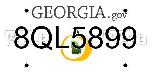 8QL5899 Georgia License Plate