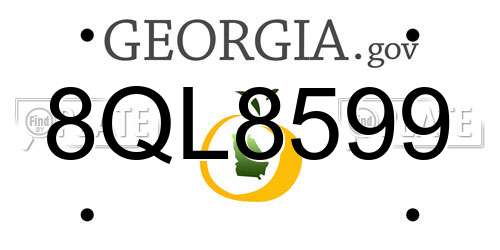 8QL8599 Georgia License Plate