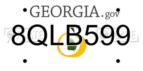 8QLB599 Georgia License Plate