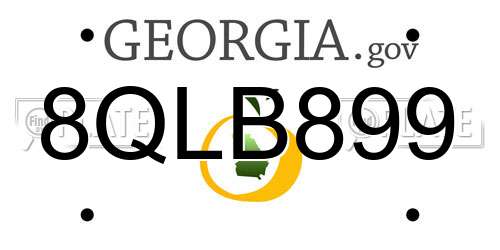 8QLB899 Georgia License Plate
